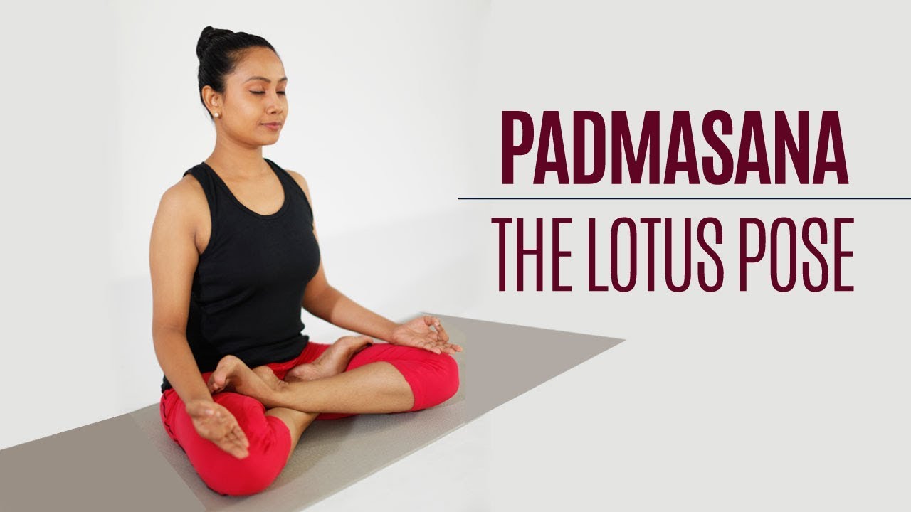How to do Padmasana – Lotus Pose | Yoga | Sitting Posture