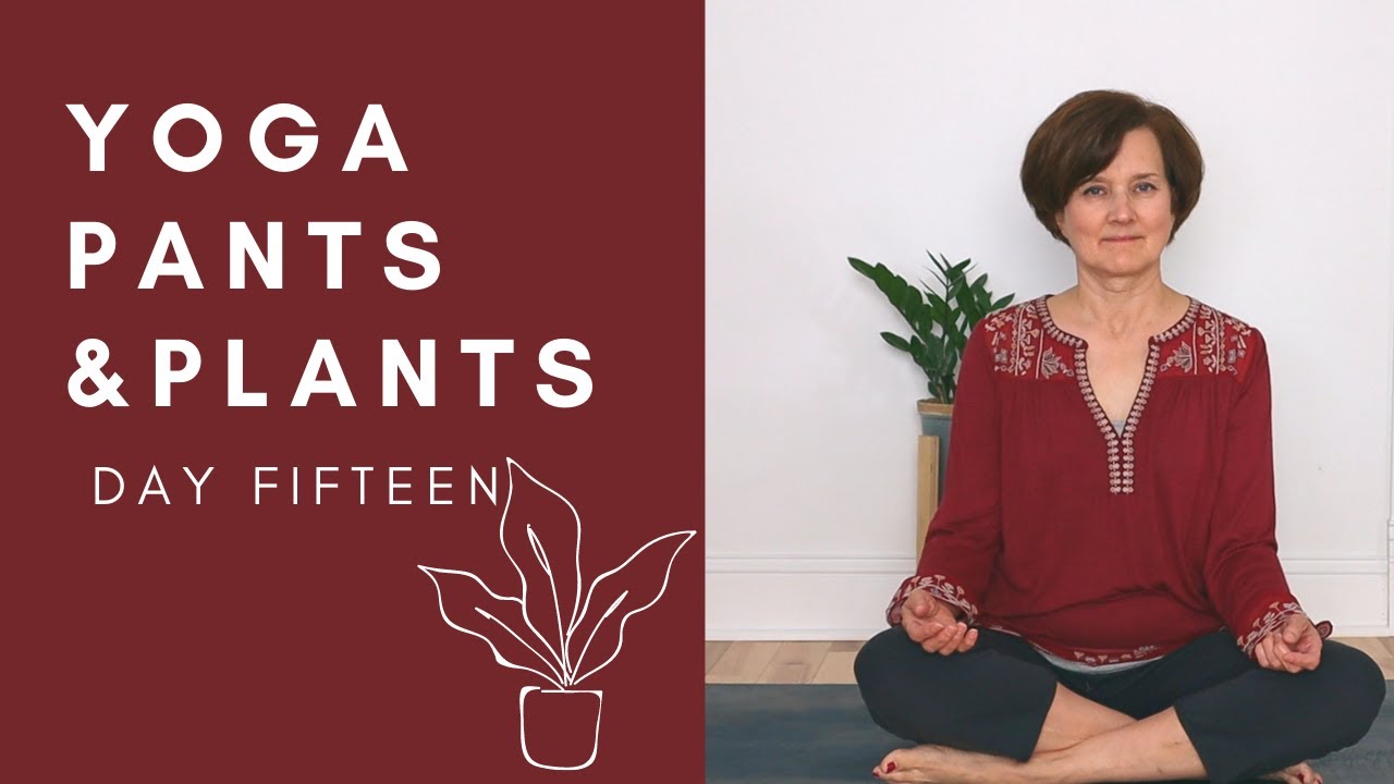 Yoga Pants and Plants Day 15 – Self Discipline