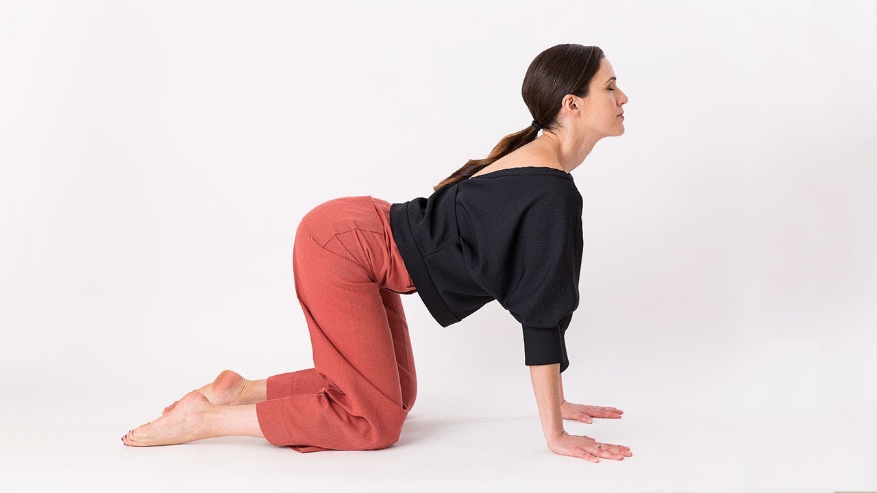 Cat-Cow Yoga Pose – Yoga With Adriene