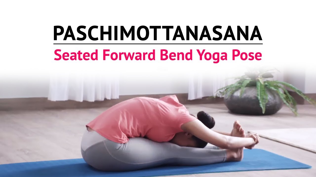 Paschimottanasana | Seated Forward Bend Yoga Pose | Steps | Benefits | Yogic Fitness