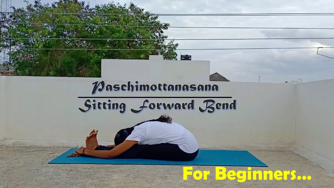 Paschimottanasana for Beginners in Tamil | Sitting Forward Bending |  Yoga Shiva & yoga Satya