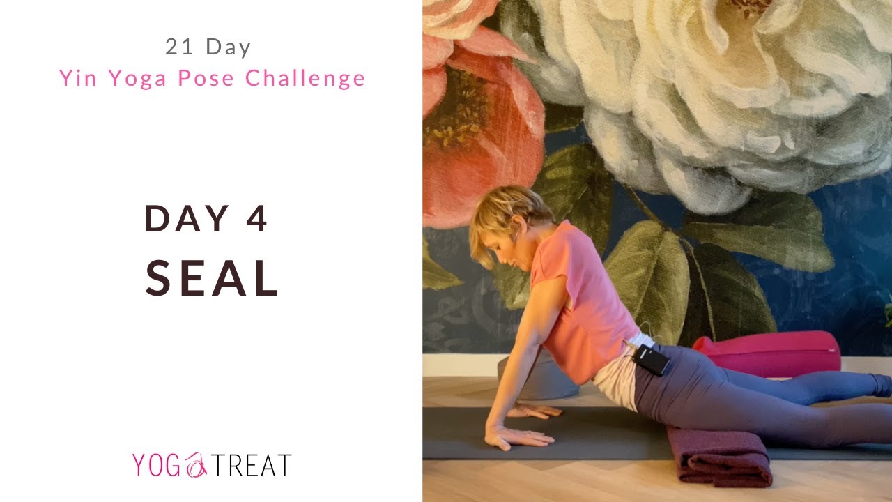 Day 4 – Seal Pose – 21 Day Yin Yoga Pose Challenge