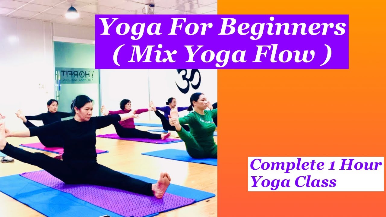 Mix Yoga Sequence | Yoga For Beginners | Yoga Class in 2022 | Yoga Online | @Master Arjun Yoga