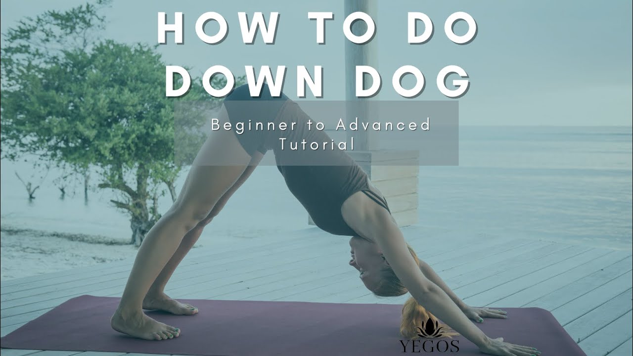 How to do Down Dog Pose with ease Yegos Magnetic Interlocking Yoga Blocks