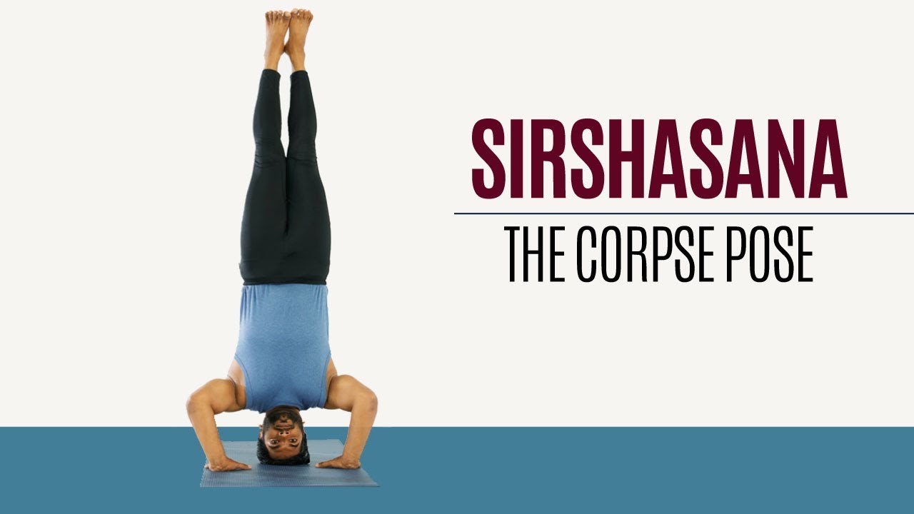 How to do Sirshasana | Headstand Pose  | Yoga | Sitting Postures