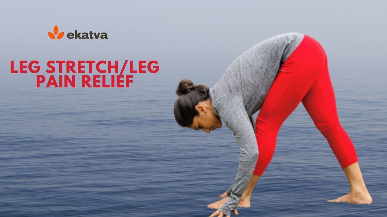 Leg Stretch | Yoga for Beginner |  Hamstrings Stretch