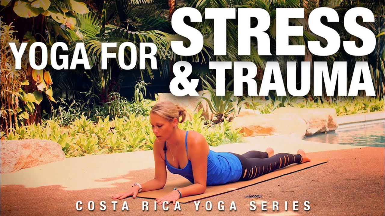 Yoga for Stress & Trauma Class – Five Parks Yoga