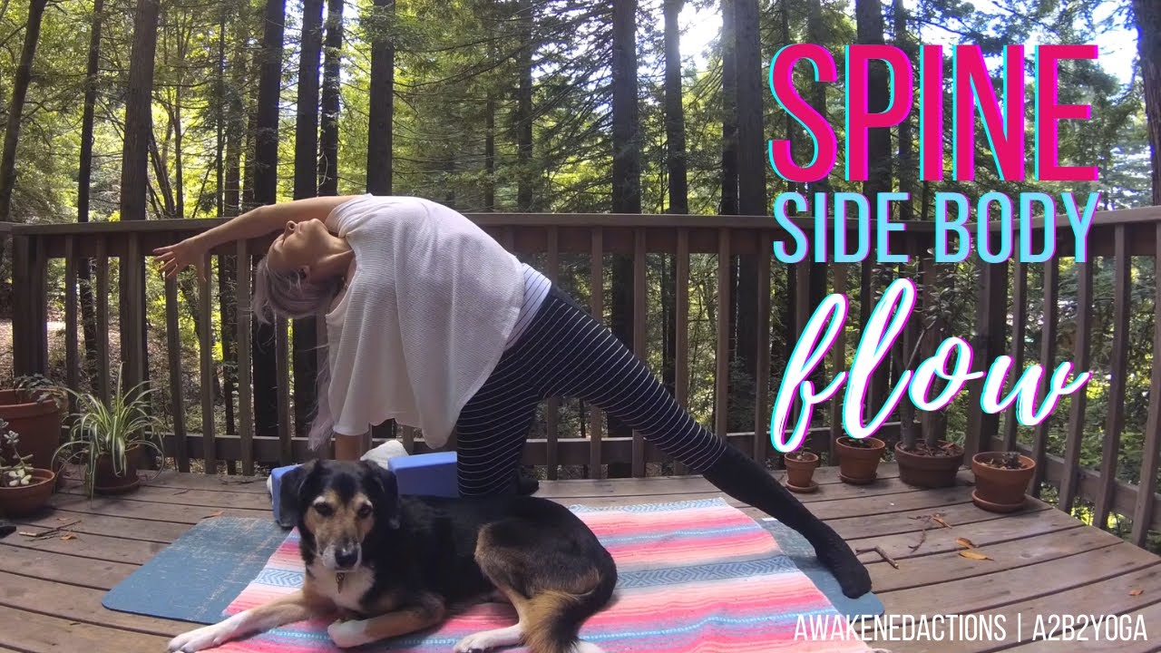 Side Body and Spine Flow | Hatha Yin Yoga Sequence | 25 min Spinal Love Practice | Awakened Actions
