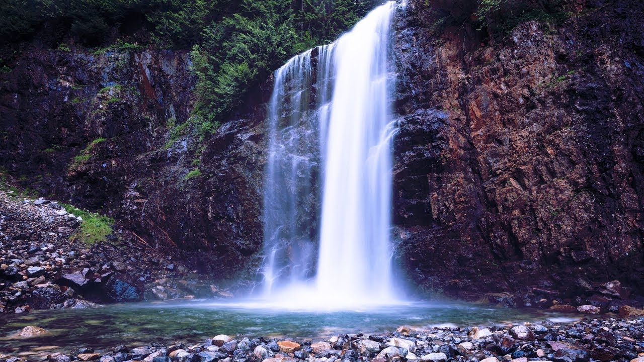 Rainforest Sounds   Water Sound for Meditation