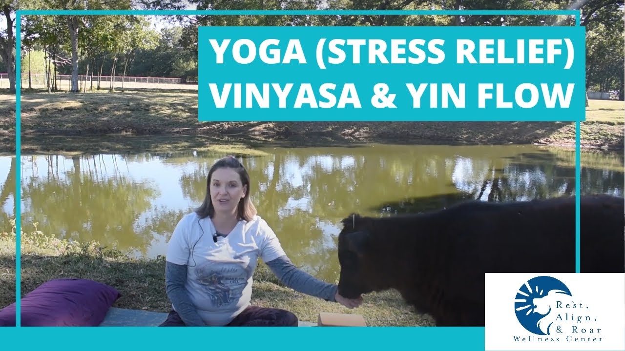 Yoga (Stress Relief) Vinyasa & Yin | Beginners & Intermediate | Rest, Align, & Roar Wellness Center