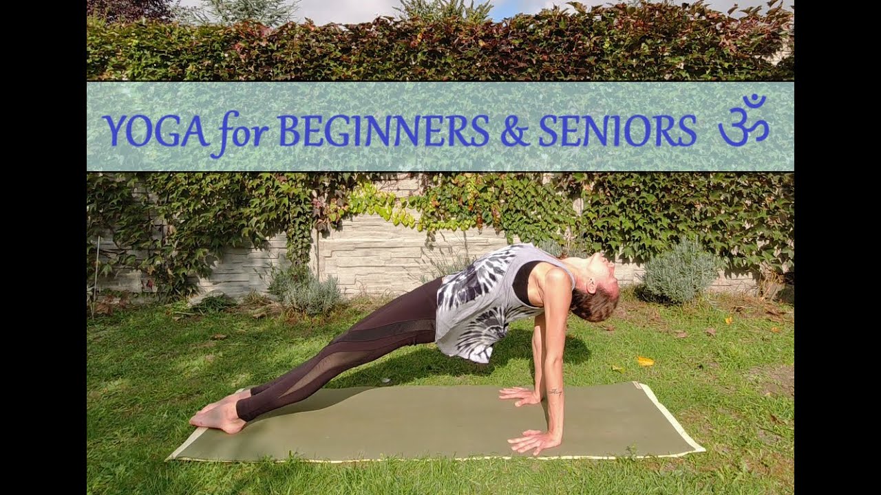 Yoga For Beginners & Seniors (yoga for cats :-D)