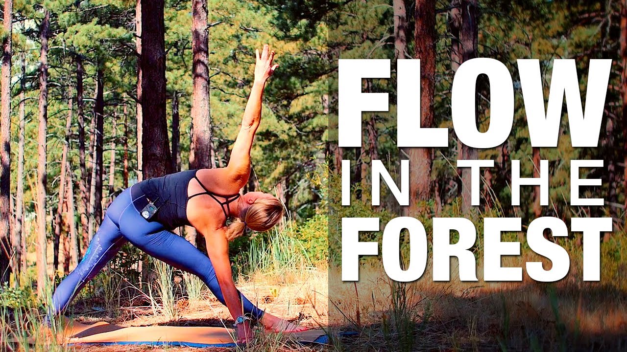 Flow in the Forest Yoga Class – Five Parks Yoga