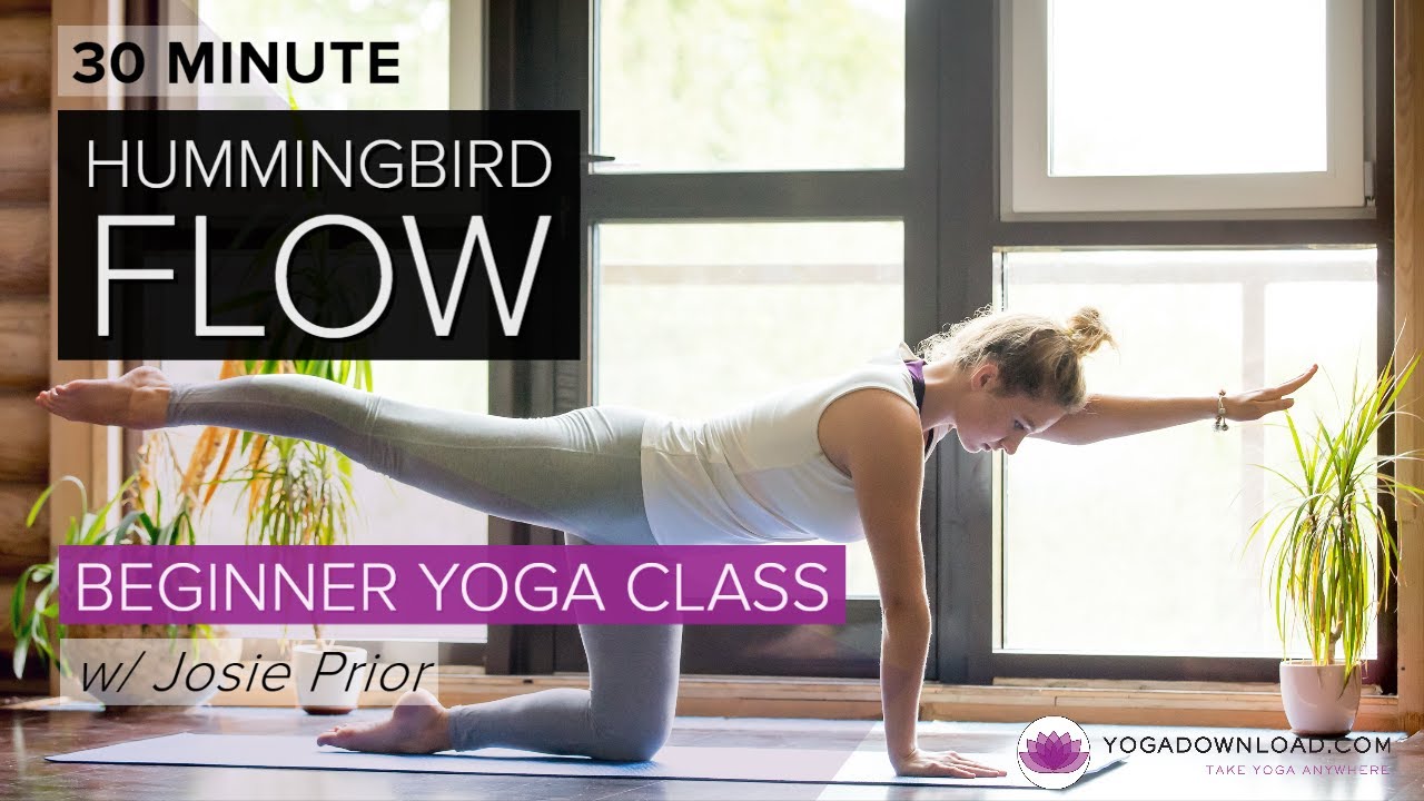 Hummingbird Flow – FREE 30 min Beginner Yoga Class