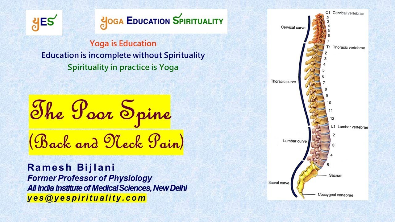 The Poor Spine (Back and Neck Pain) – YES.04 Lifestyle Diseases and Yoga