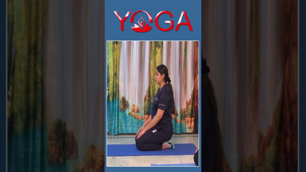Vajrasana / the thunderbolt / the diamond pose / the sitting asana in Yoga! #yoga #yogaforbegginers