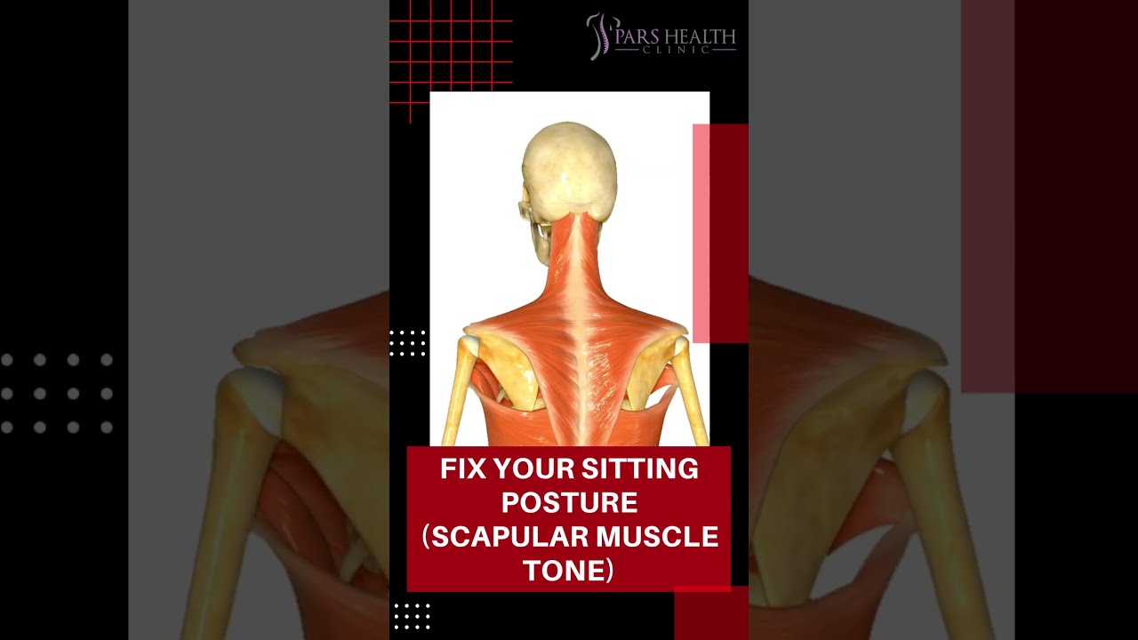 Fix Your Sitting Posture (Scapular Muscle Tone) #shorts