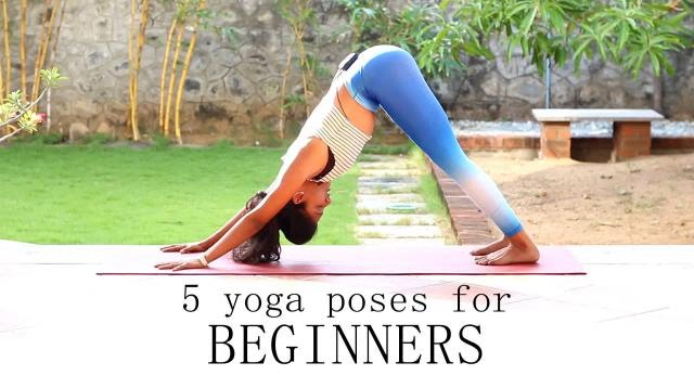 5 yoga poses for Beginners
