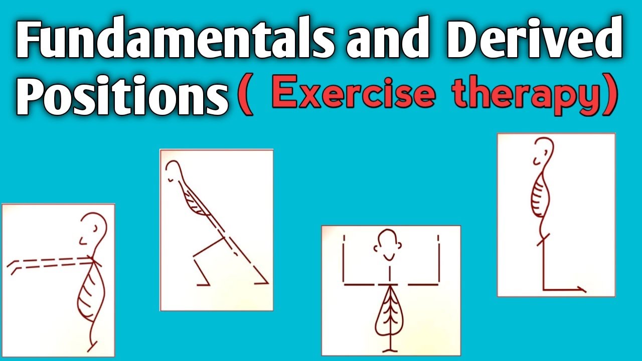 Fundamental and derived positions (Lying, sitting, Hanging, Standing, Kneeling) Exercise therapy