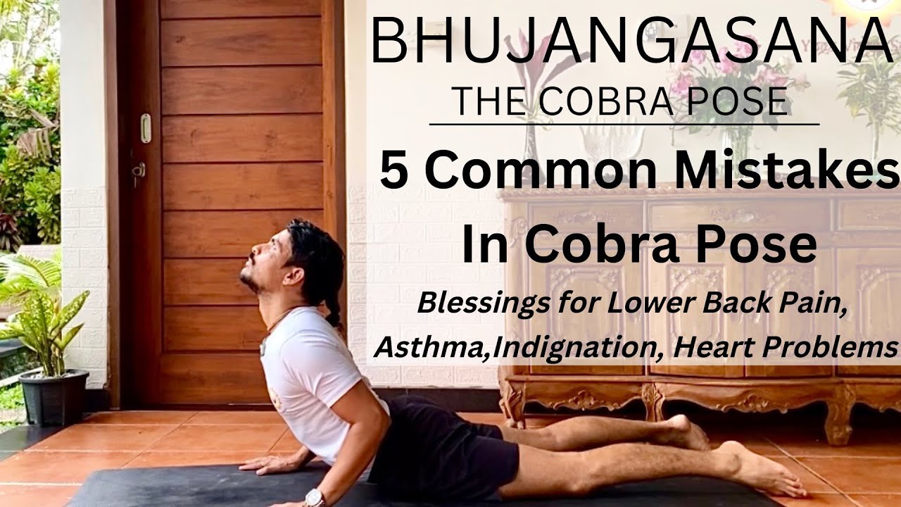 5 MISTAKES IN COBRA POSE | BHUJANGASANA | COBRA POSE | | YOGA FOR ASTHMA, BACK PAIN, HEART PROBLEM