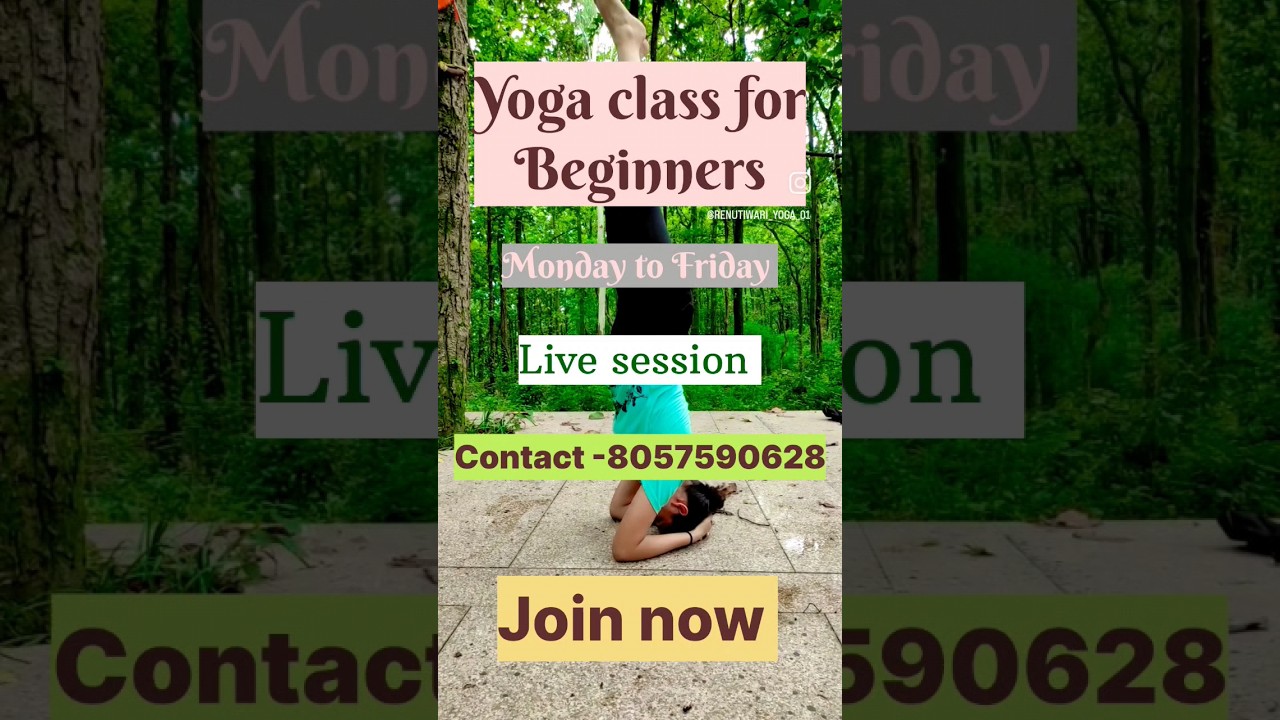 Online yoga class For beginners #shorts #yoga #ytshorts #yogaforbeginners #viral #yogaclass