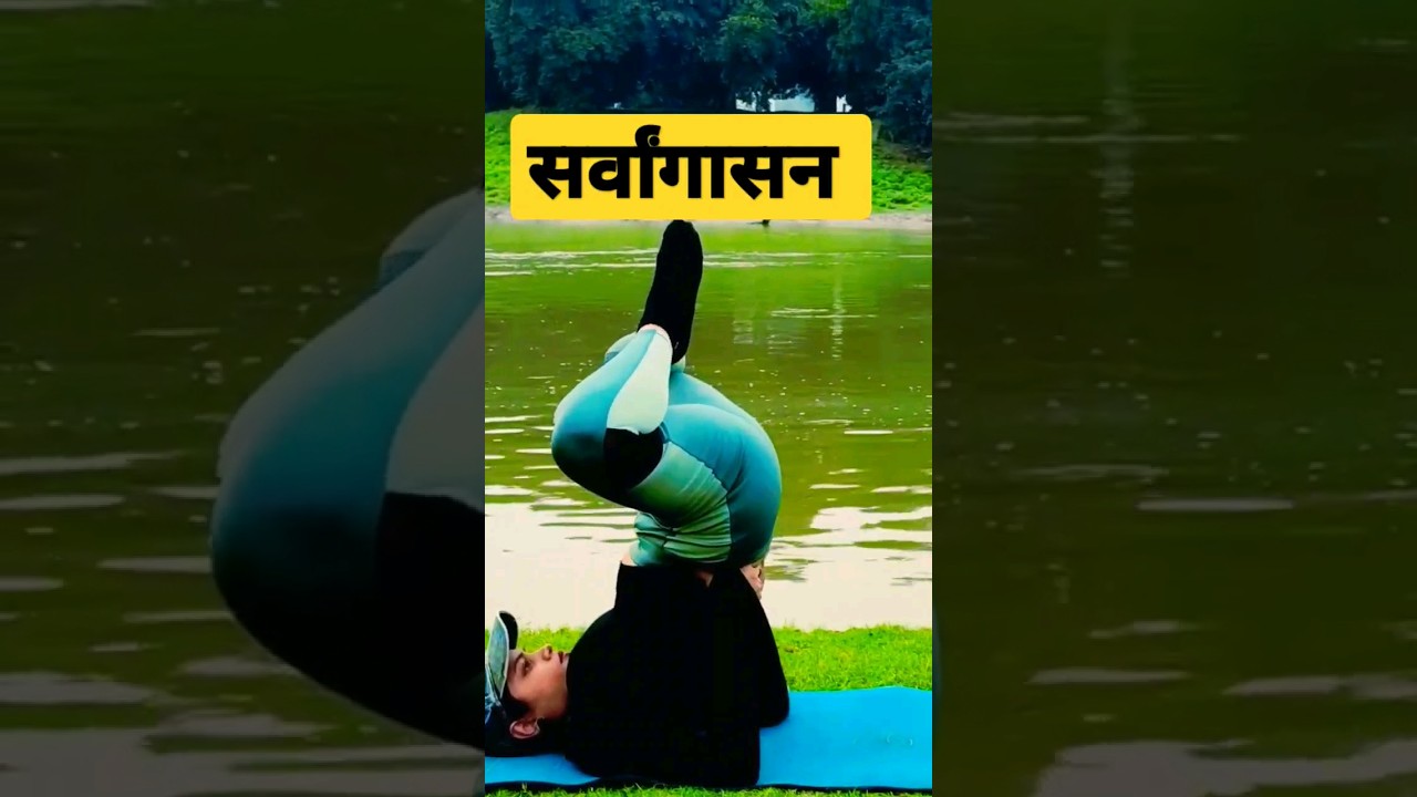 सर्वांगासन Sholder Stand pose yoga posture yoga for beginners#shorts #viralshorts #trendingshorts