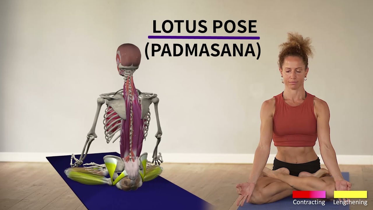 The one thing NOT to do in the Lotus pose