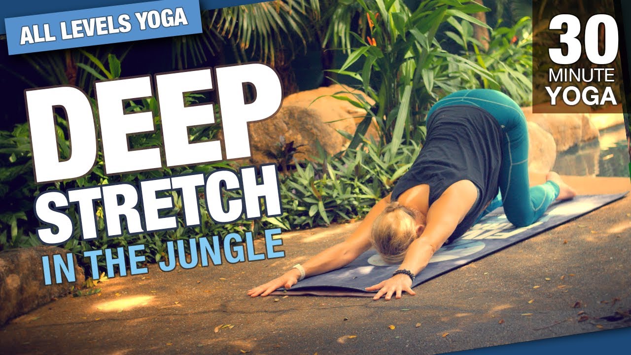 30 Minute Deep Stretch Jungle Yoga Class – Five Parks Yoga