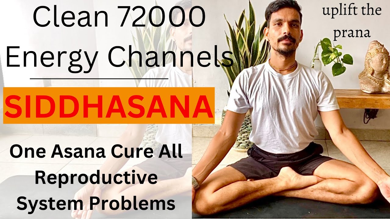 Clean 72000 Nadies With Siddhasana | How To Do Siddhasana | Yoga For Reproductive System