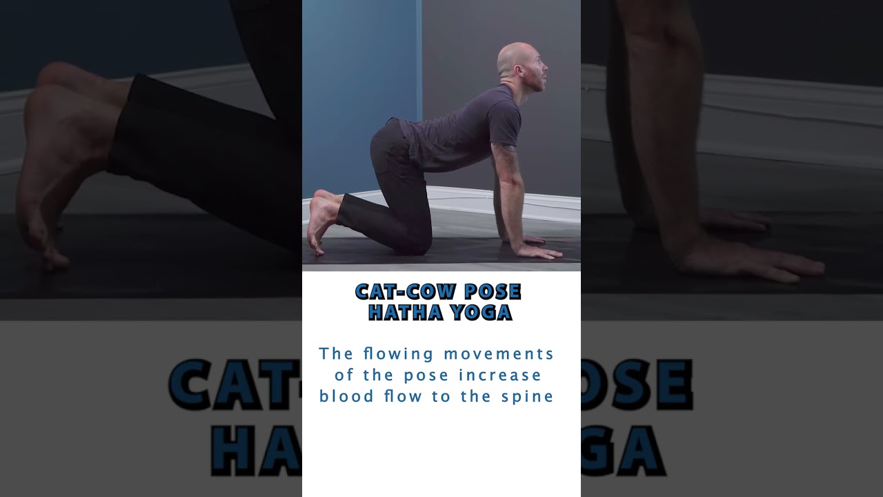 Cat-Cow (Marjaryasana) Yoga Pose