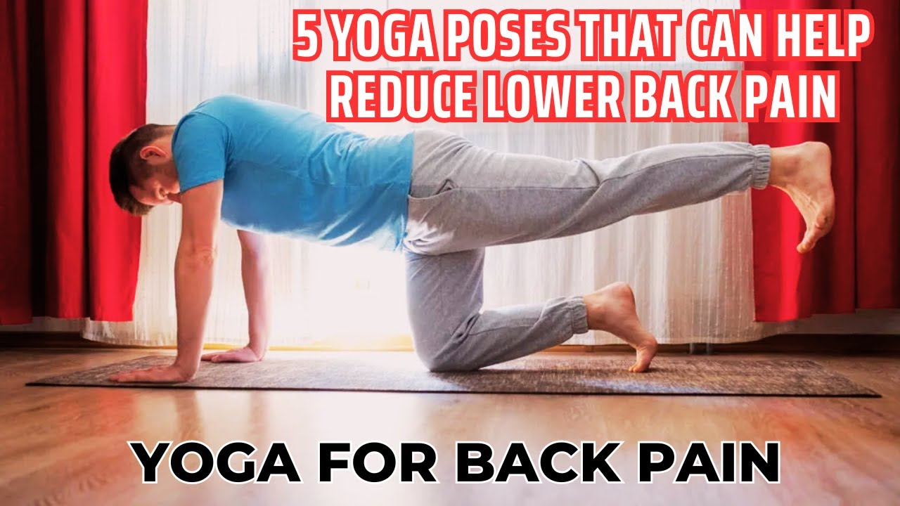 “Ease Your Aches: Yoga for Back Pain – Poses to Alleviate Lower Back Discomfort”