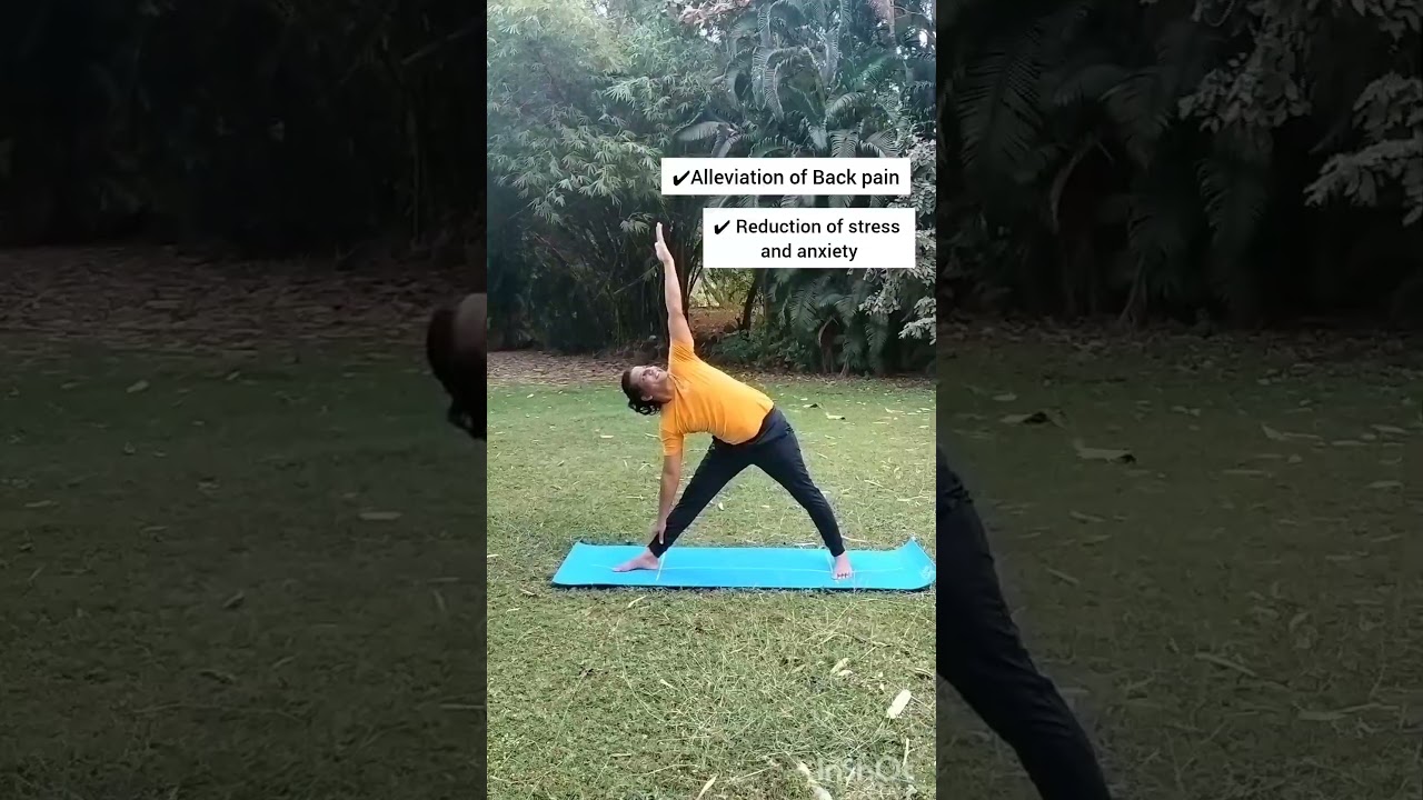 Side Bends to build strength, increase mobility, and improve flexibility | Sri Sri School of Yoga